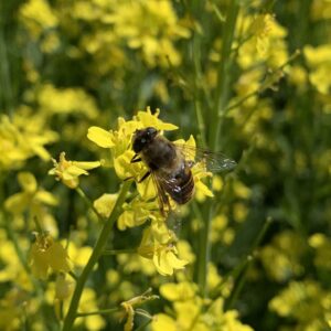 20190627_171005369_iOS